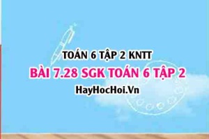 Bài 7.28 SGK Toán 6 tập 2 Kết nối tri thức